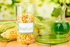 Thurlestone biofuel availability
