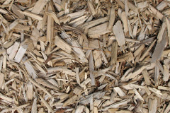 biomass boilers Thurlestone