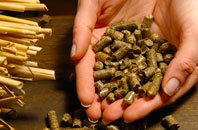 Thurlestone pellet boiler